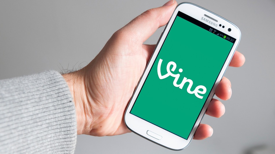 vine