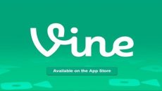 Vine