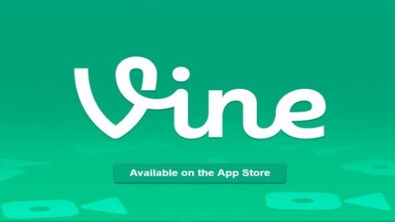 Vine