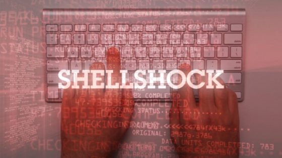 تحذيرات جديدة من ثغرة Shellshock